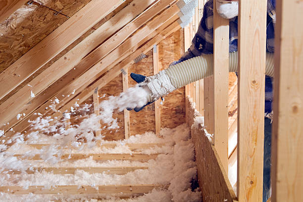 Best Eco-Friendly or Green Insulation Solutions  in Anton, TX